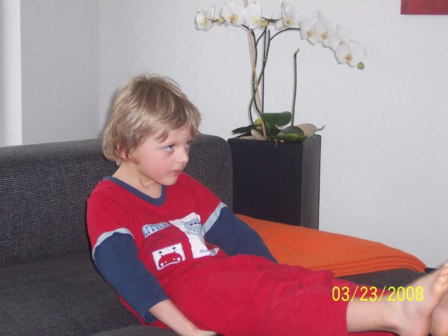 img00050.jpg