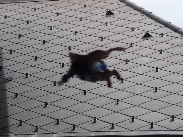 img00248.jpg