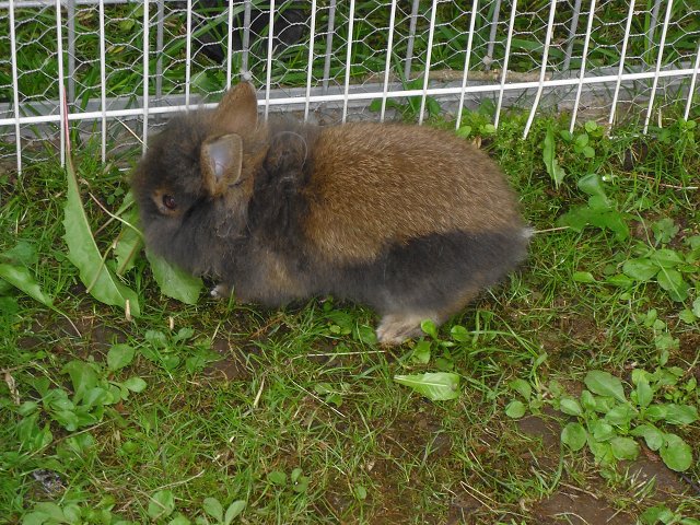 img00259.jpg