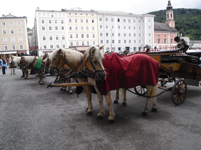 img00285.jpg