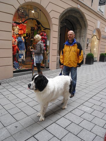 img00291.jpg
