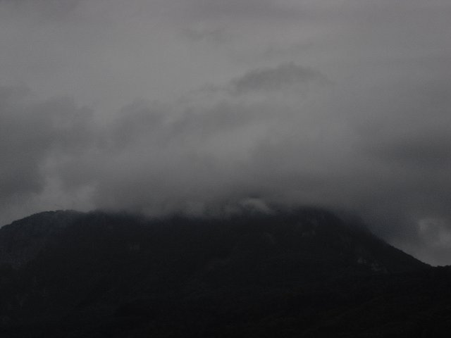 img00298.jpg