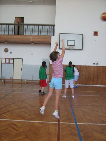 img00028.jpg