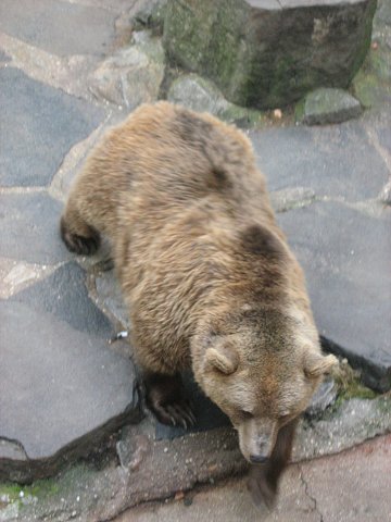 img00187.jpg