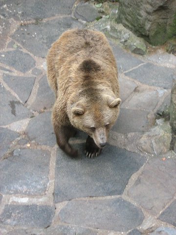 img00189.jpg