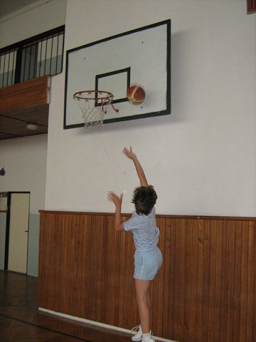 img00208.jpg