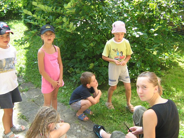 img00233.jpg