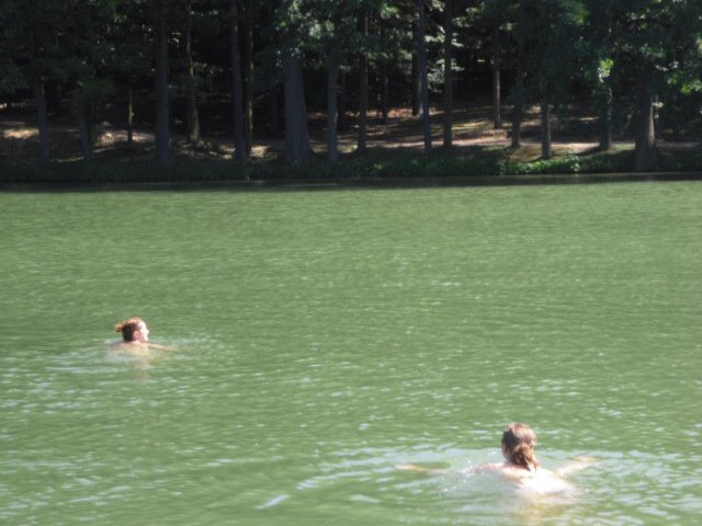 img00113.jpg