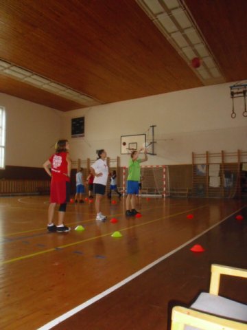 img00181.jpg